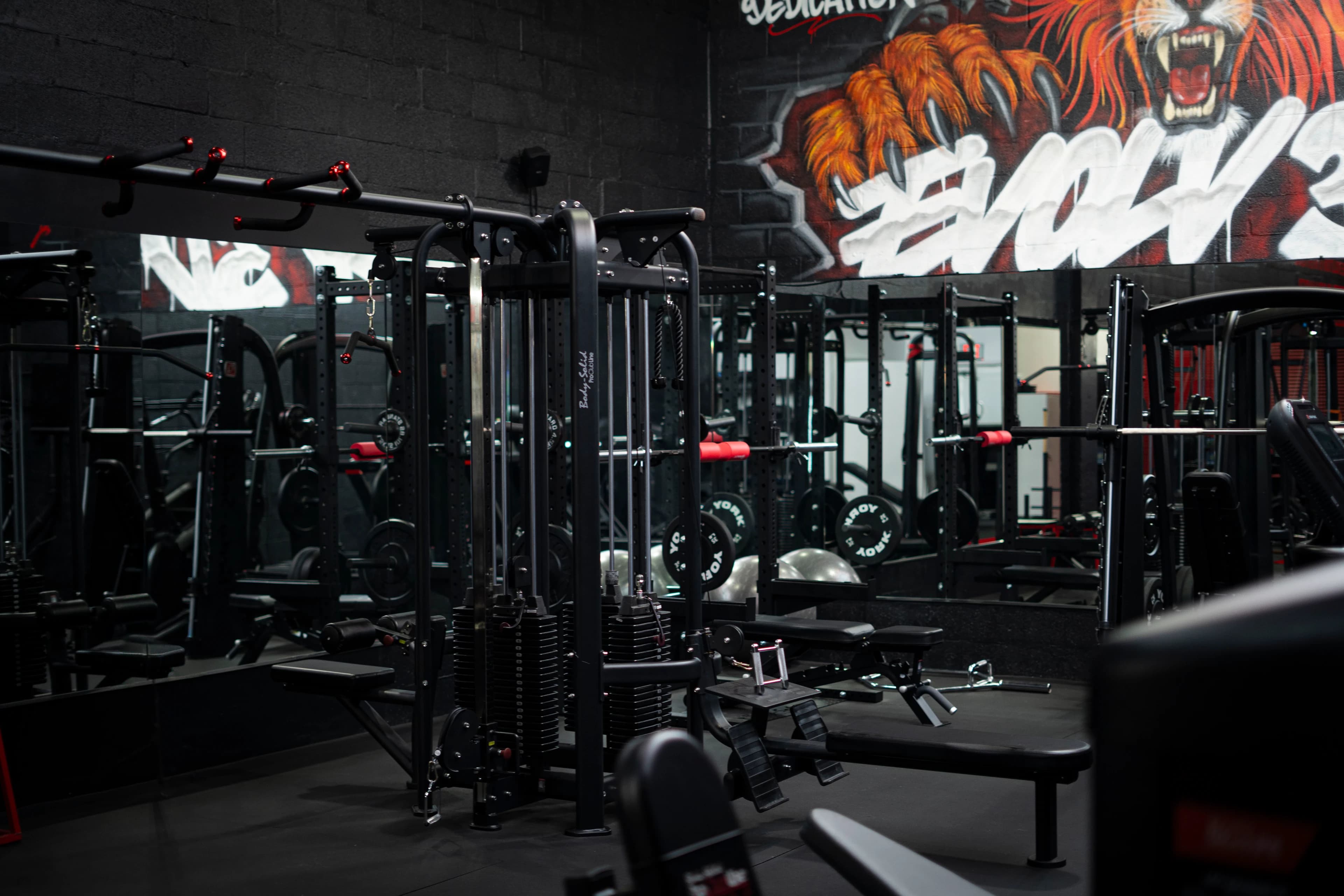 A multi-station cable machine and squat racks in front of the lion mural