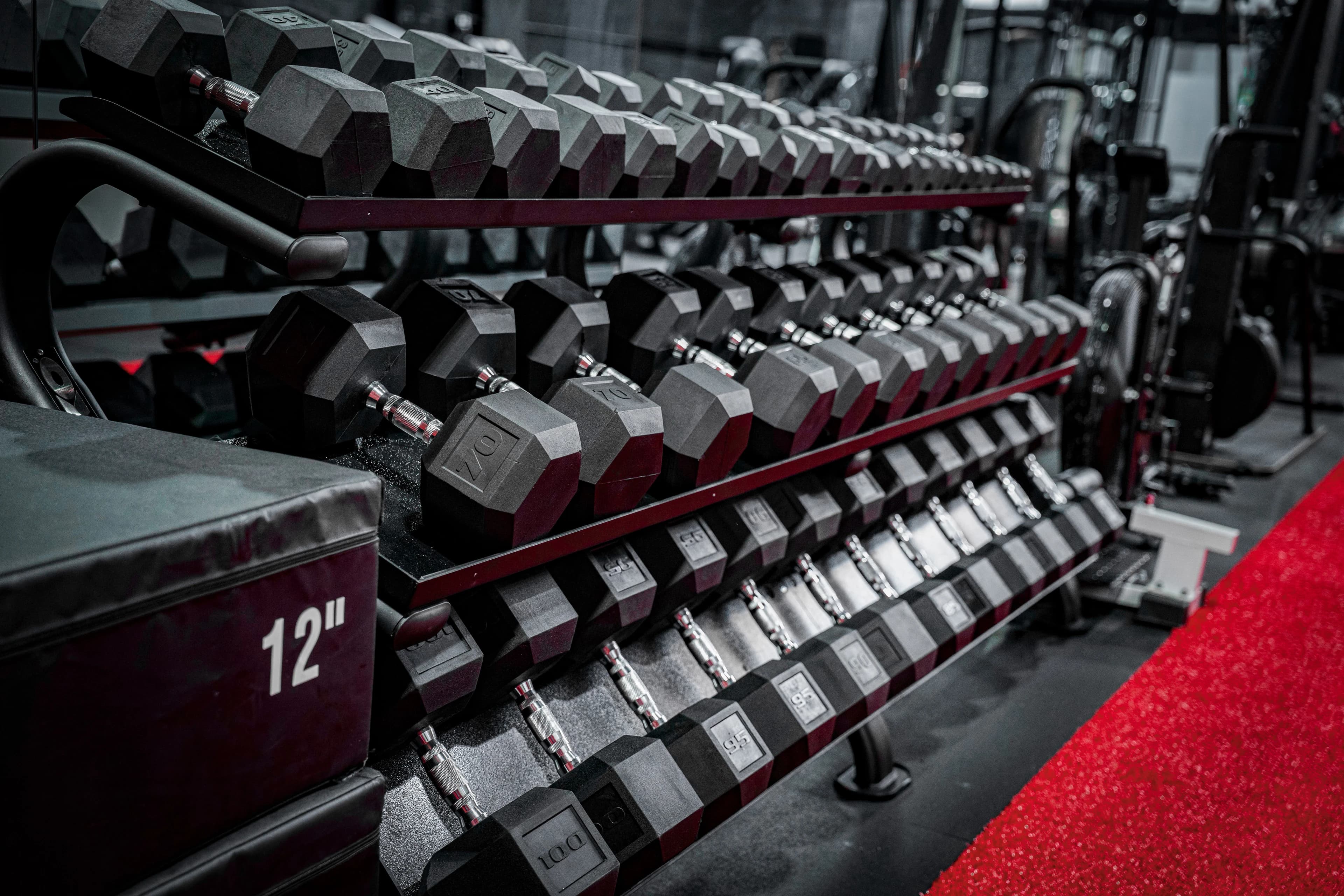 Rows of hex dumbbells on a rack beside the red turf
