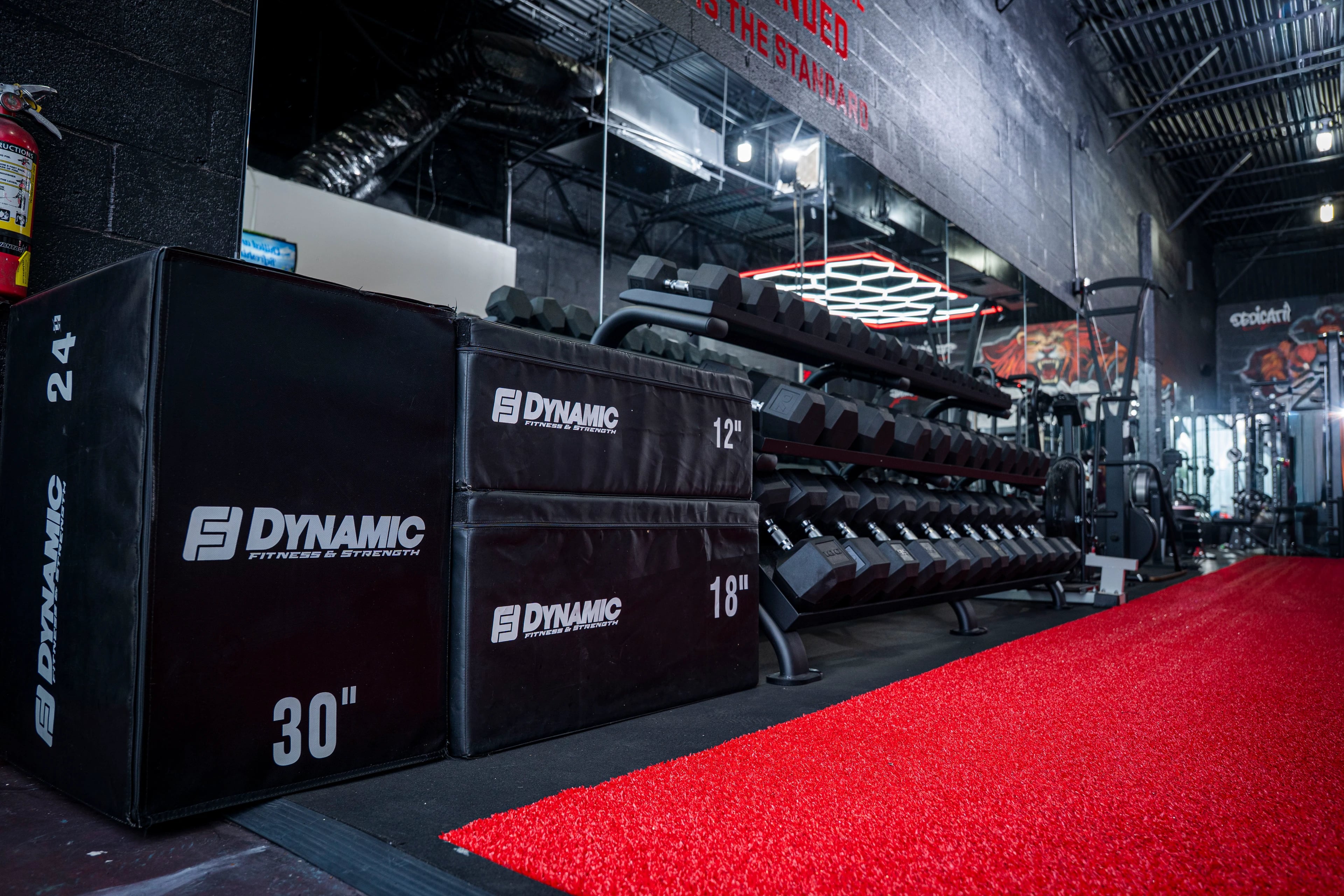 Plyo boxes and a dumbbell rack beside the red turf lane at Evolv3D Studio